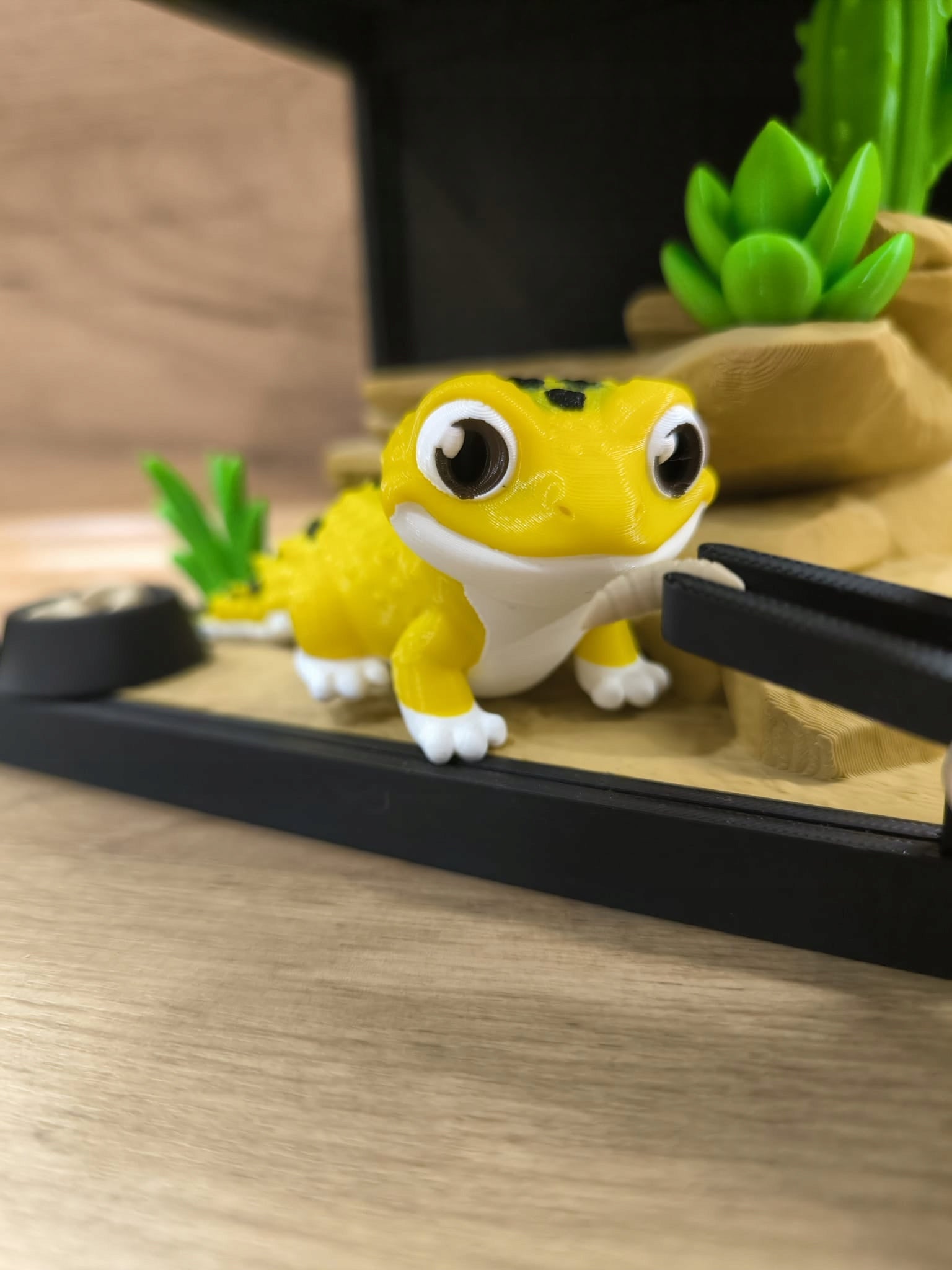 TERRARIUM 3D su GEKONO Dekoratyvinis edukacinis rinkinys su judančiomis dalimis GEKON