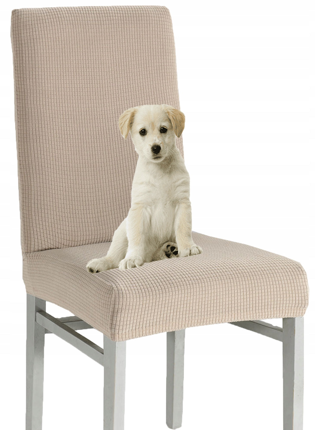 6 VNT. universalios, elastingos, kreminės spalvos kėdžių užvalkalai