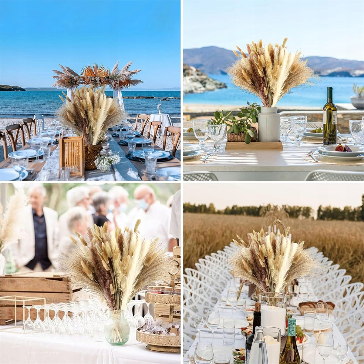 Džiovinta PAMPASŲ žolė dekoratyvinis puokštė vazoje 125 šakelės sausos žolės