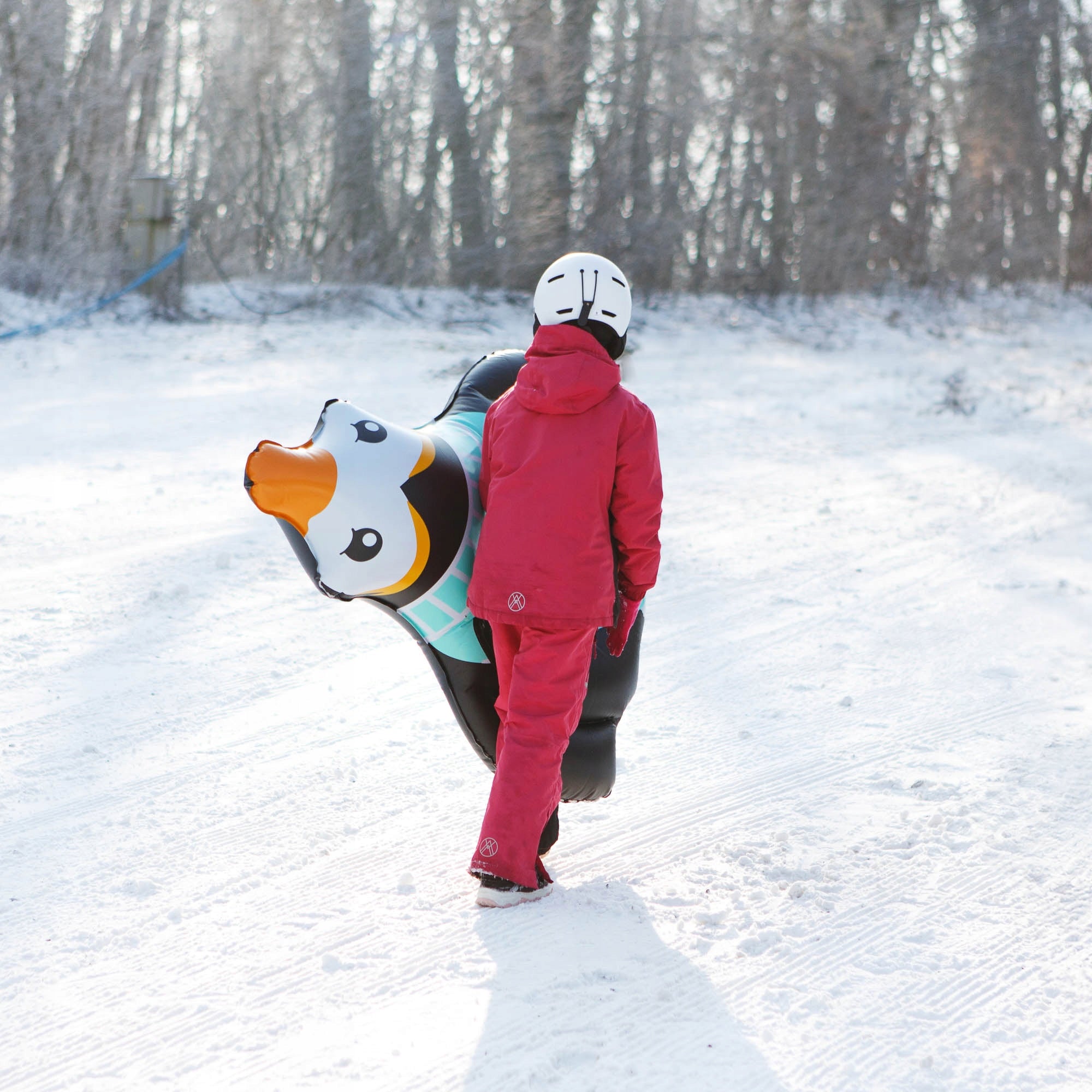 Pripučiama rogutė sniego rogutė pingvinas METEOR PVC 120x110x23 su rankenomis