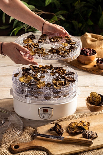 Didelė vaisių, daržovių, grybų džiovykla su cirkuliaciniu kaitinimu 550W, 5 aukštos talpos padėklai