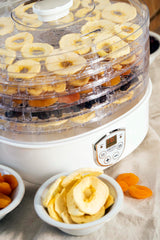 Didelė vaisių, daržovių, grybų džiovykla su cirkuliaciniu kaitinimu 550W, 5 aukštos talpos padėklai