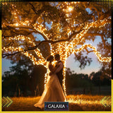 LAUKO GIRGLANDA 20m 20 LED LEMPUTĖS 230V (ELEKTROS SROVĖ)