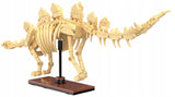 Statybinės kaladėlės CaDA rinkinys - Stegozauras Skeletas, Dinozaurų Fosilijos Modelis 297