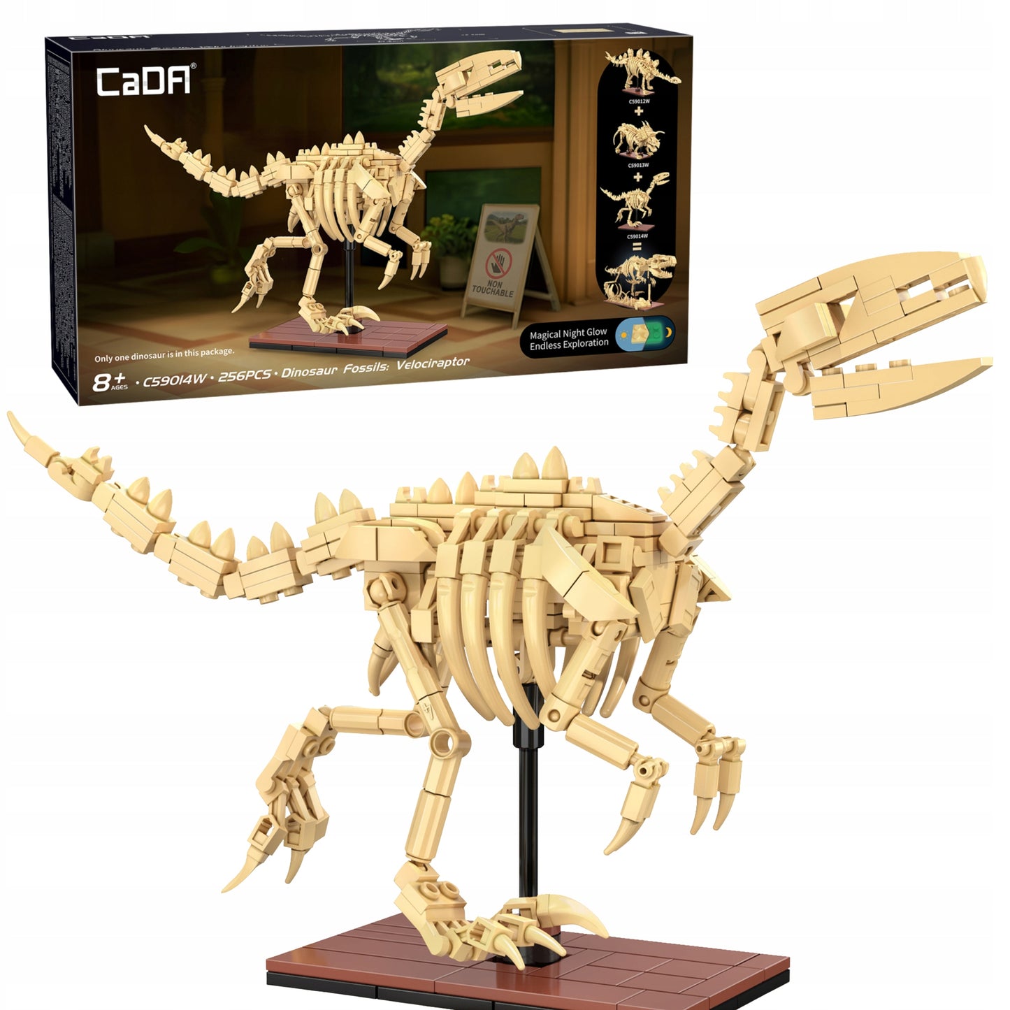 KLOCKAI CADA VELOCIRAPTOR SKELETAS MODELIS DINZAURAS FOSILIJOS 256 EL CADA