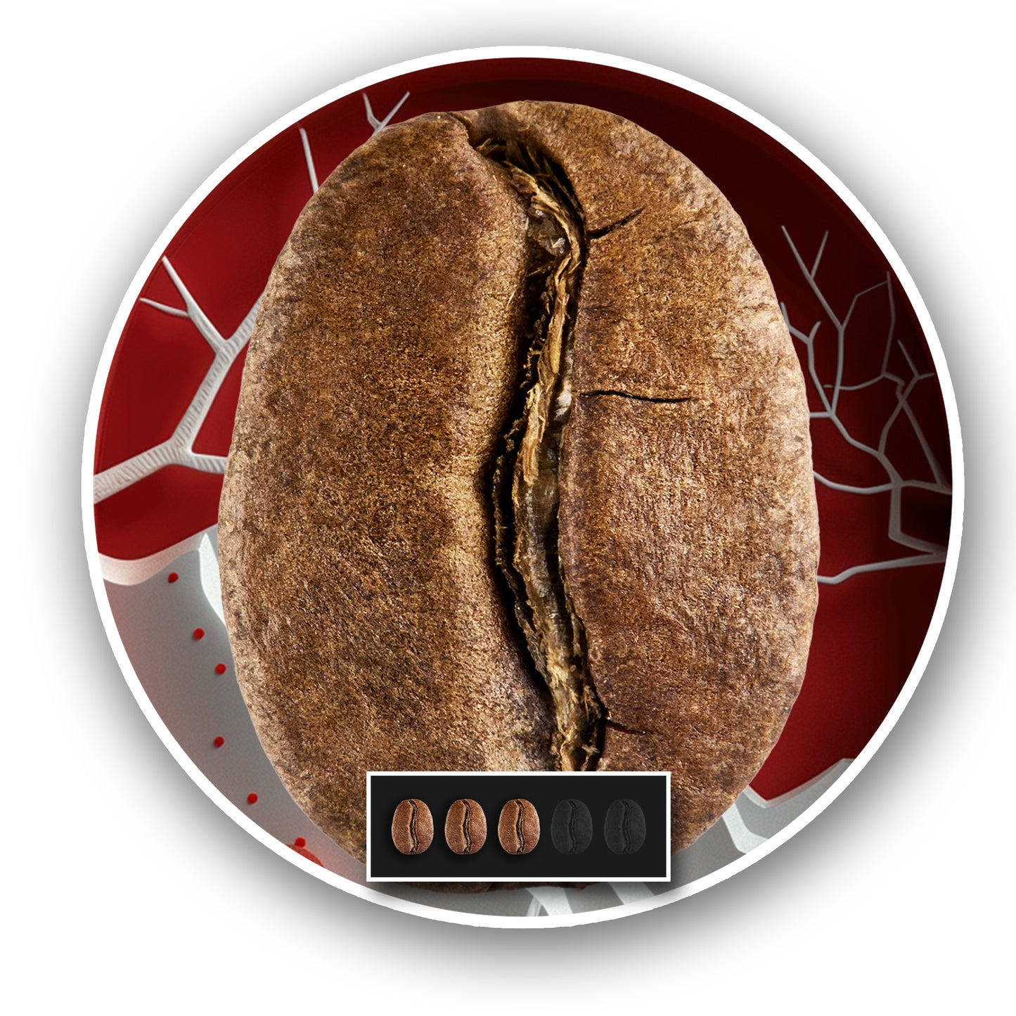 Pupelių kava 1kg WINTER BLEND 100% Arabica ŠVIEŽIAI SKROSTA Blue Orca