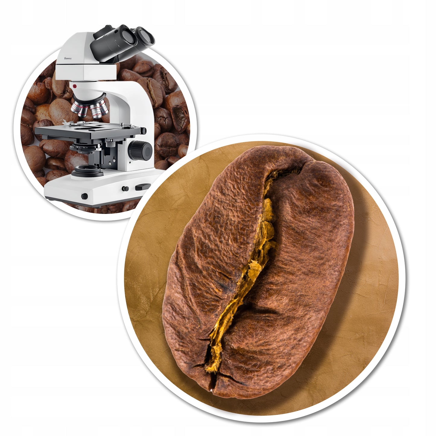 Pupelių kava 1kg WINTER BLEND 100% Arabica ŠVIEŽIAI SKROSTA Blue Orca