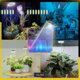 LED AUGIMO LEMPUTĖ Augalams Augti Apšvietimas Lemputė Augti LAIKMATIS