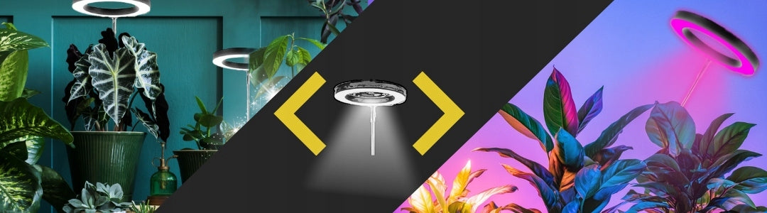 LED AUGIMO LEMPUTĖ Augalams Augti Apšvietimas Lemputė Augti LAIKMATIS