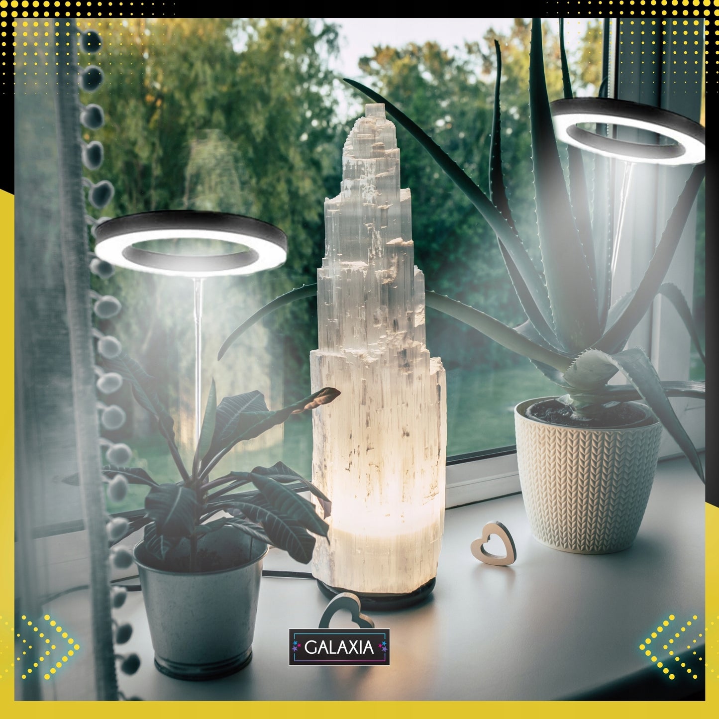 LED AUGIMO LEMPUTĖ Augalams Augti Apšvietimas Lemputė Augti LAIKMATIS