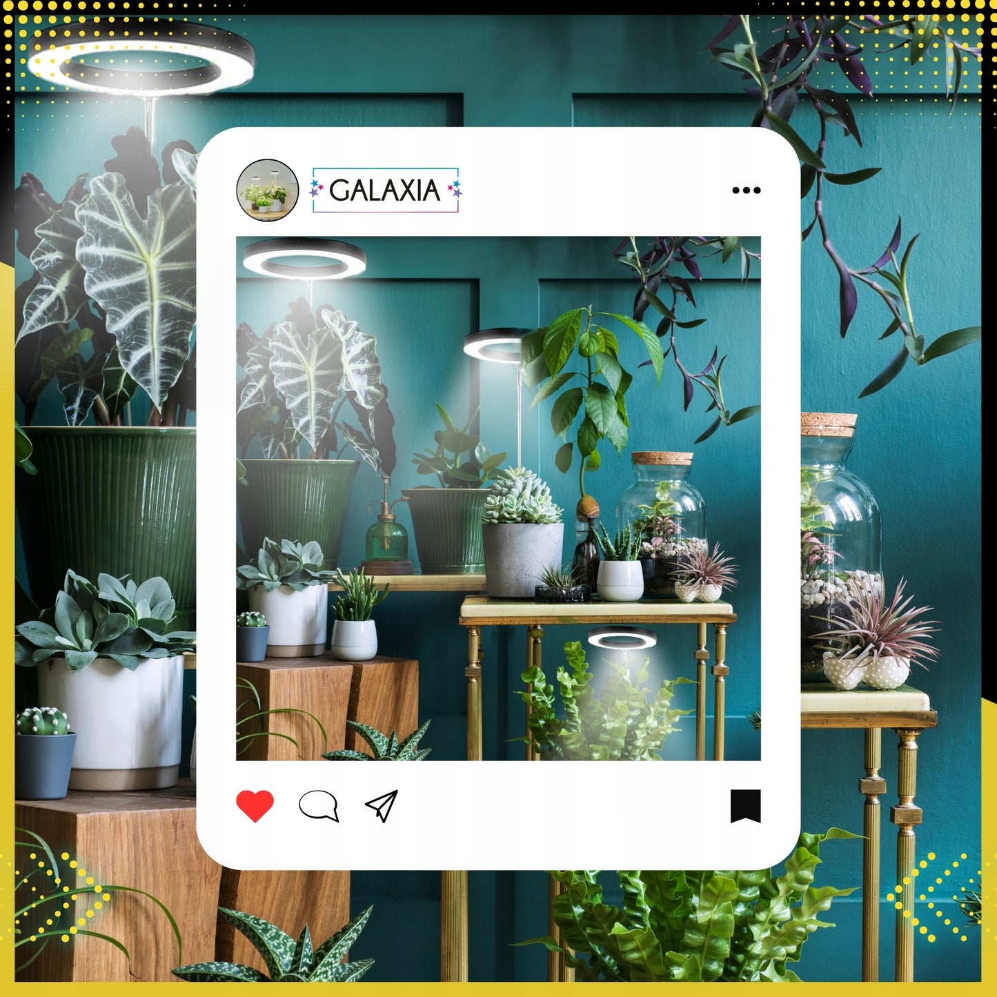 LED AUGIMO LEMPUTĖ Augalams Augti Apšvietimas Lemputė Augti LAIKMATIS
