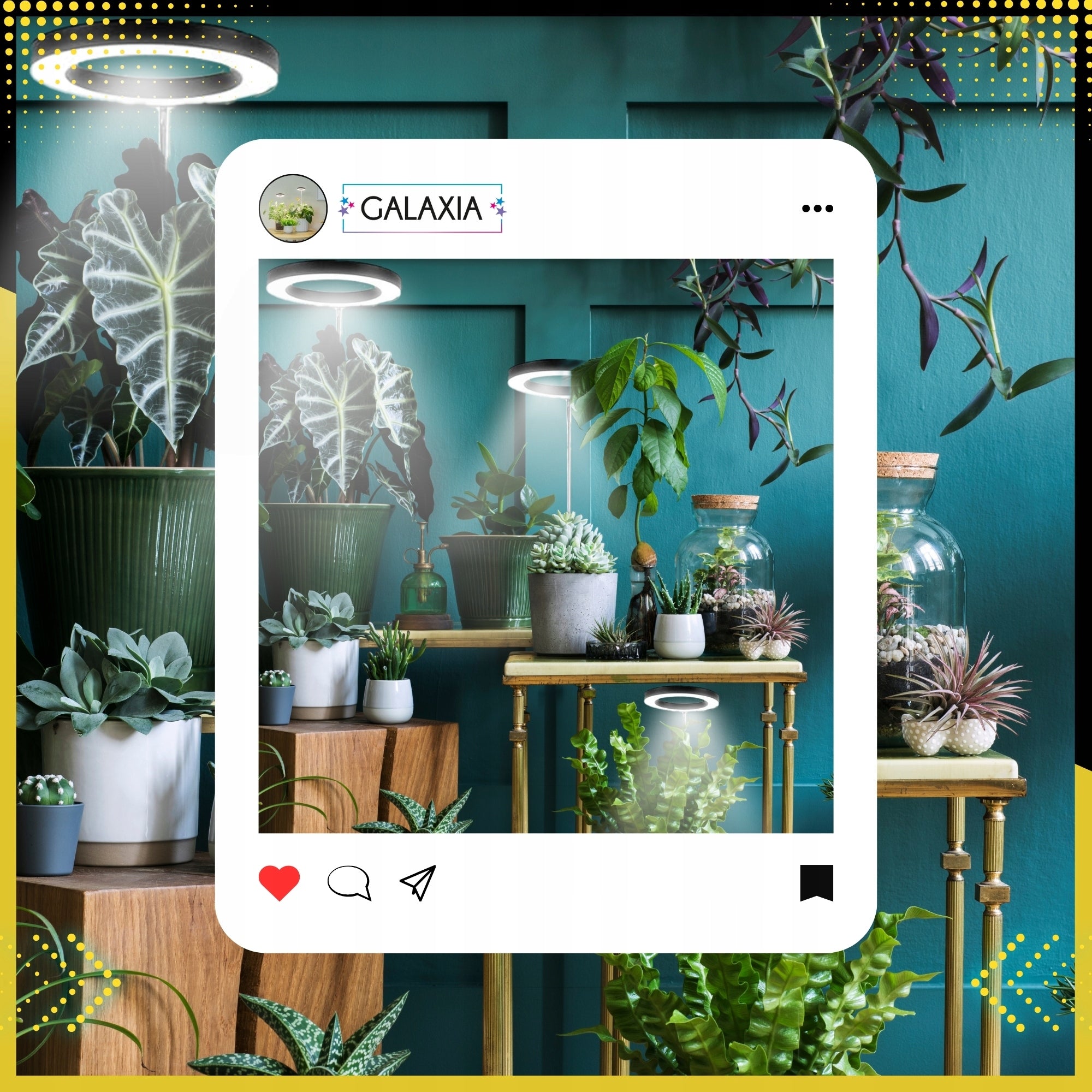 LED AUGIMO LEMPUTĖ Augalams Augti Apšvietimas Lemputė Augti LAIKMATIS