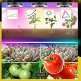 LED AUGIMO LEMPUTĖ Augalams Augti Apšvietimas Lemputė Augti LAIKMATIS