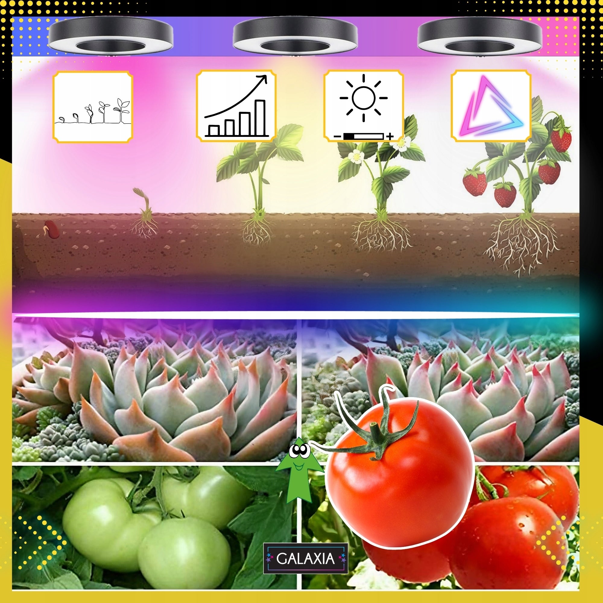 LED AUGIMO LEMPUTĖ Augalams Augti Apšvietimas Lemputė Augti LAIKMATIS