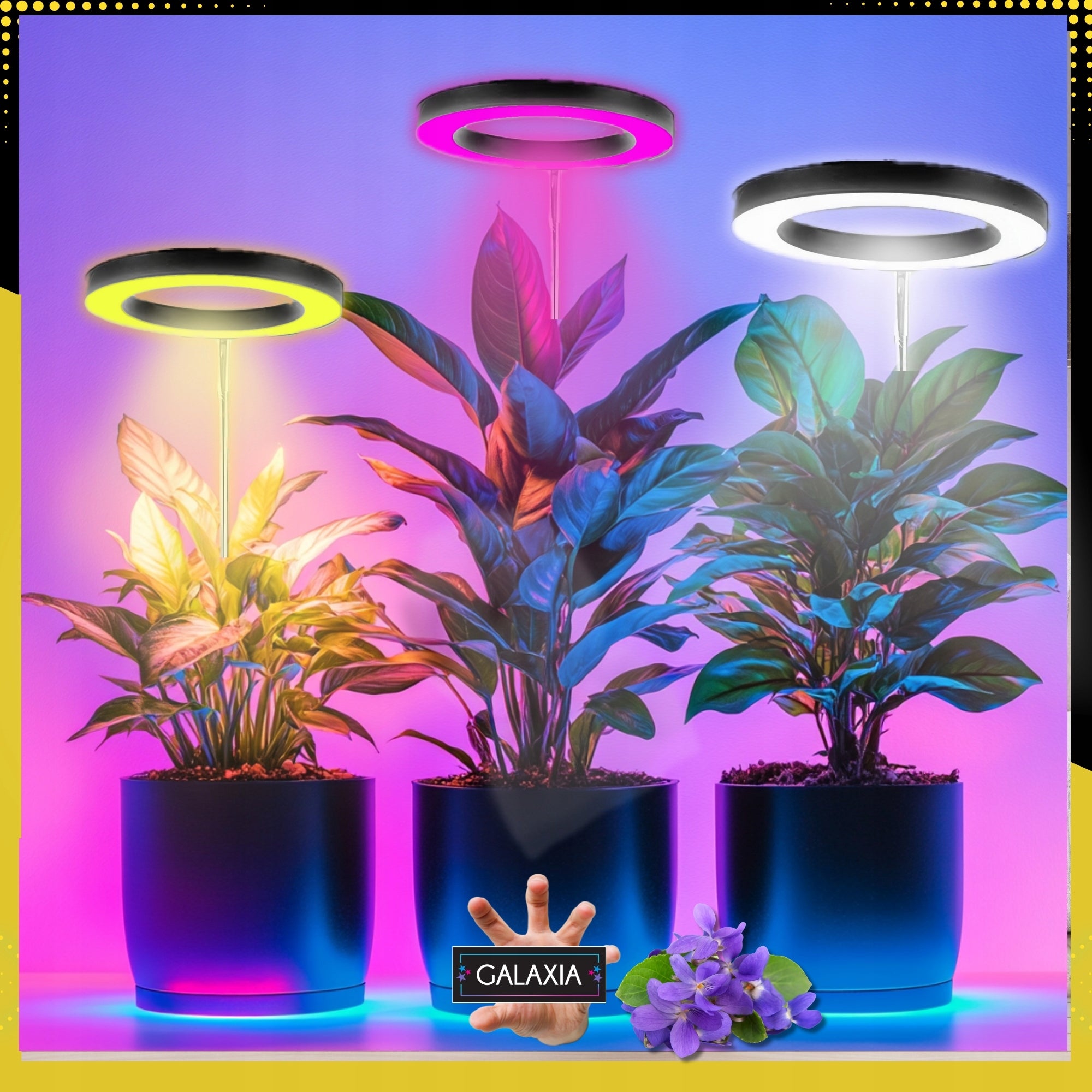 LED AUGIMO LEMPUTĖ Augalams Augti Apšvietimas Lemputė Augti LAIKMATIS