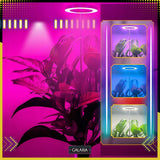 LED AUGIMO LEMPUTĖ Augalams Augti Apšvietimas Lemputė Augti LAIKMATIS