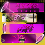 LED AUGIMO LEMPUTĖ Augalams Augti Apšvietimas Lemputė Augti LAIKMATIS