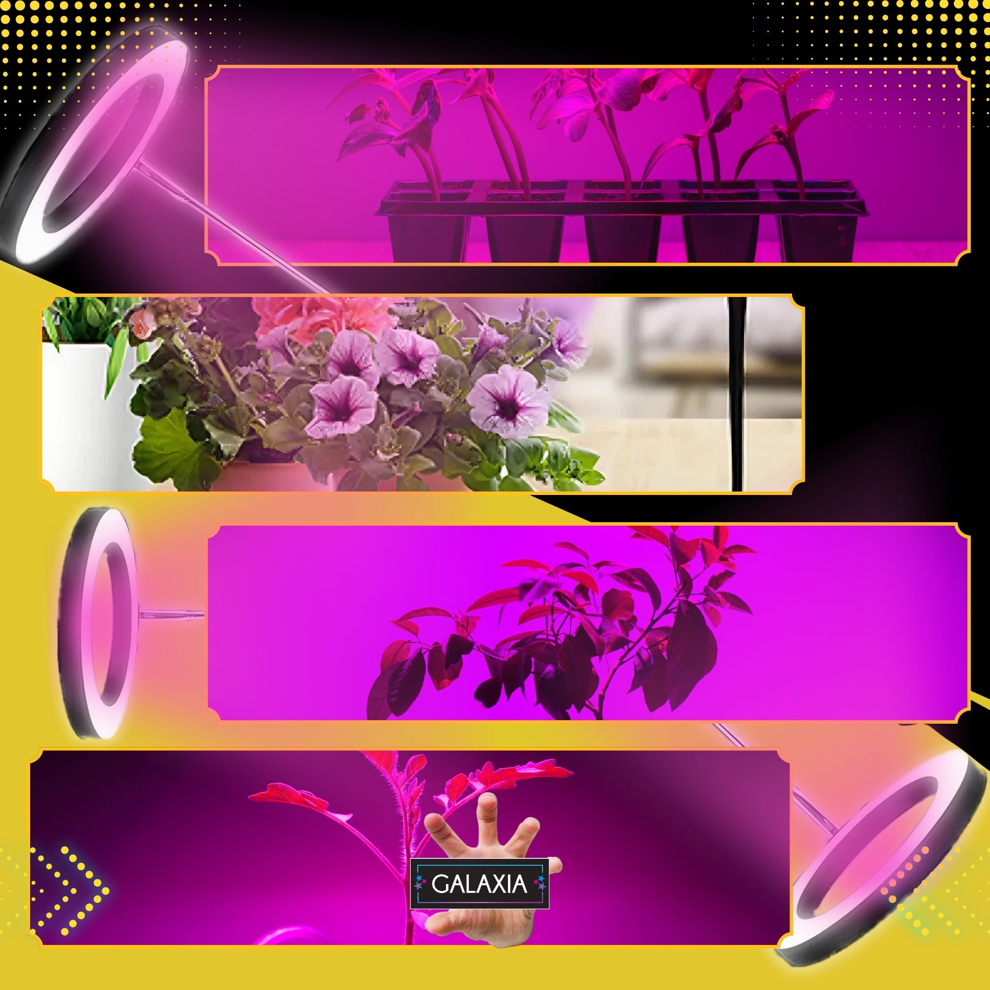 LED AUGIMO LEMPUTĖ Augalams Augti Apšvietimas Lemputė Augti LAIKMATIS