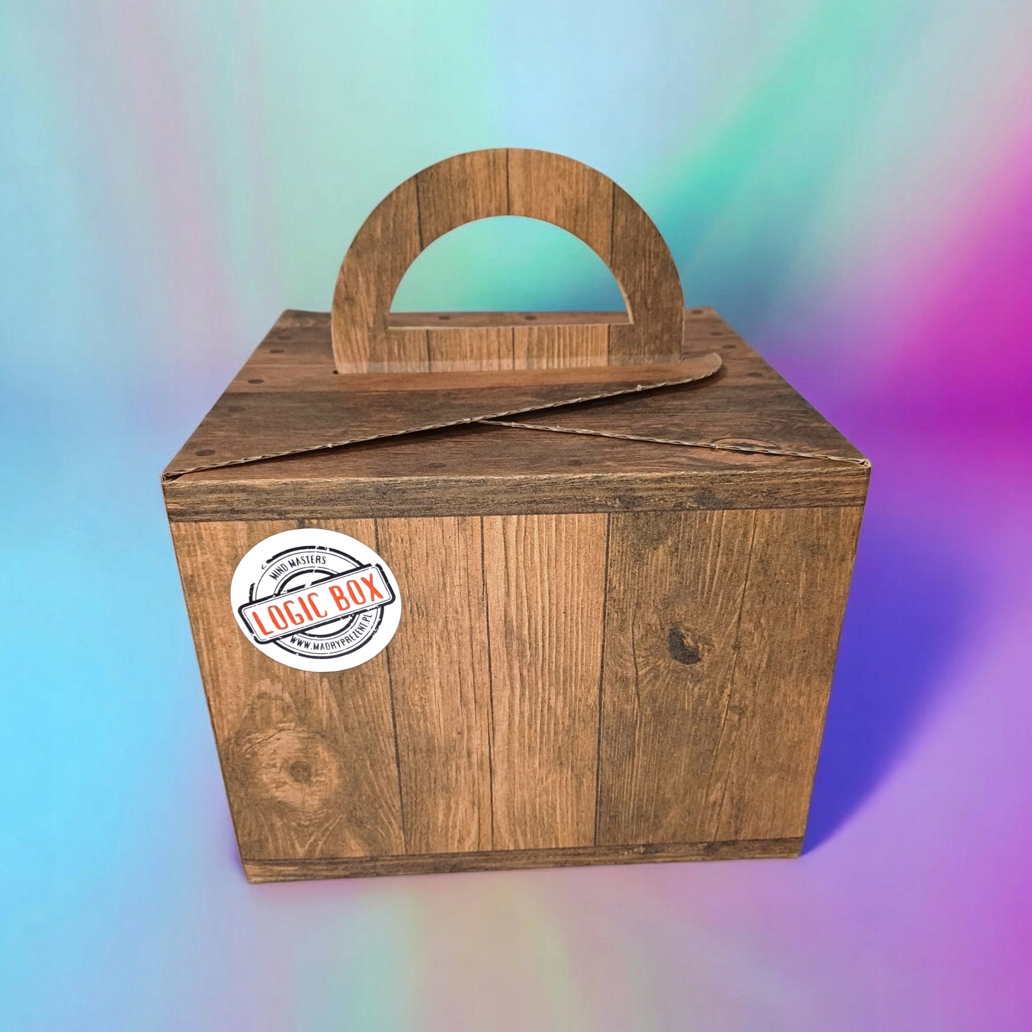 LOGIC BOX magnetiniai akmenukai + didelis metalo ir medžio galvosūkių rinkinys