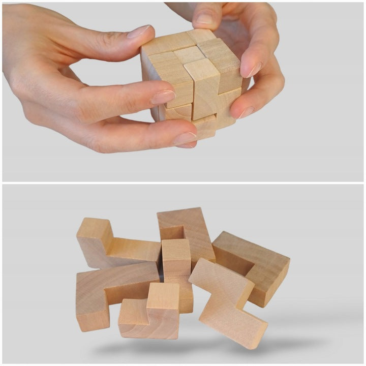 LOGIC BOX magnetiniai akmenukai + didelis metalo ir medžio galvosūkių rinkinys