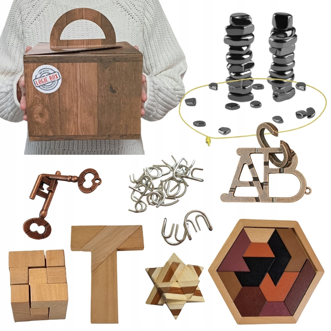 LOGIC BOX magnetiniai akmenukai + didelis metalo ir medžio galvosūkių rinkinys