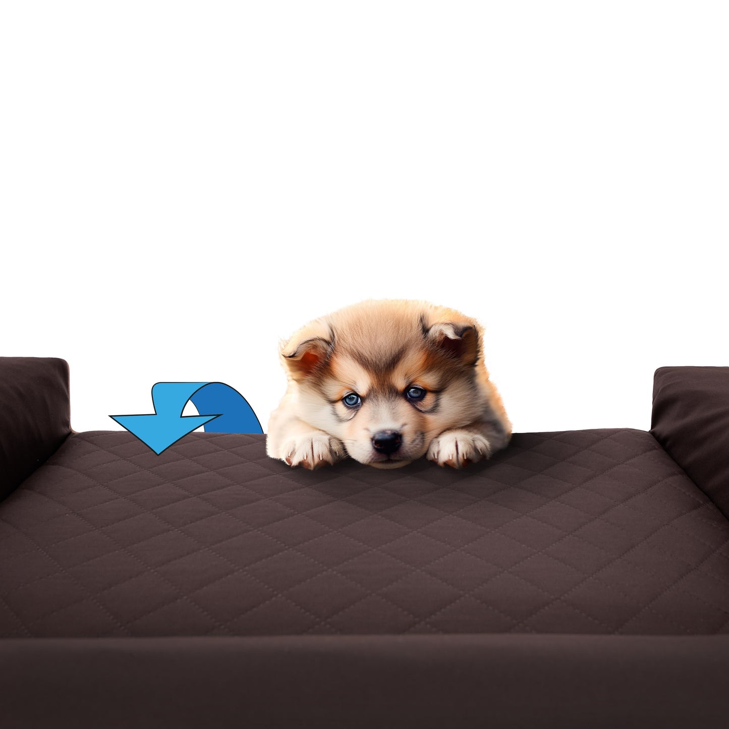 Šuns lova, Sofa Vandeniui atspari NUIMAMAS VIRŠELIS XXL 118x78 cm