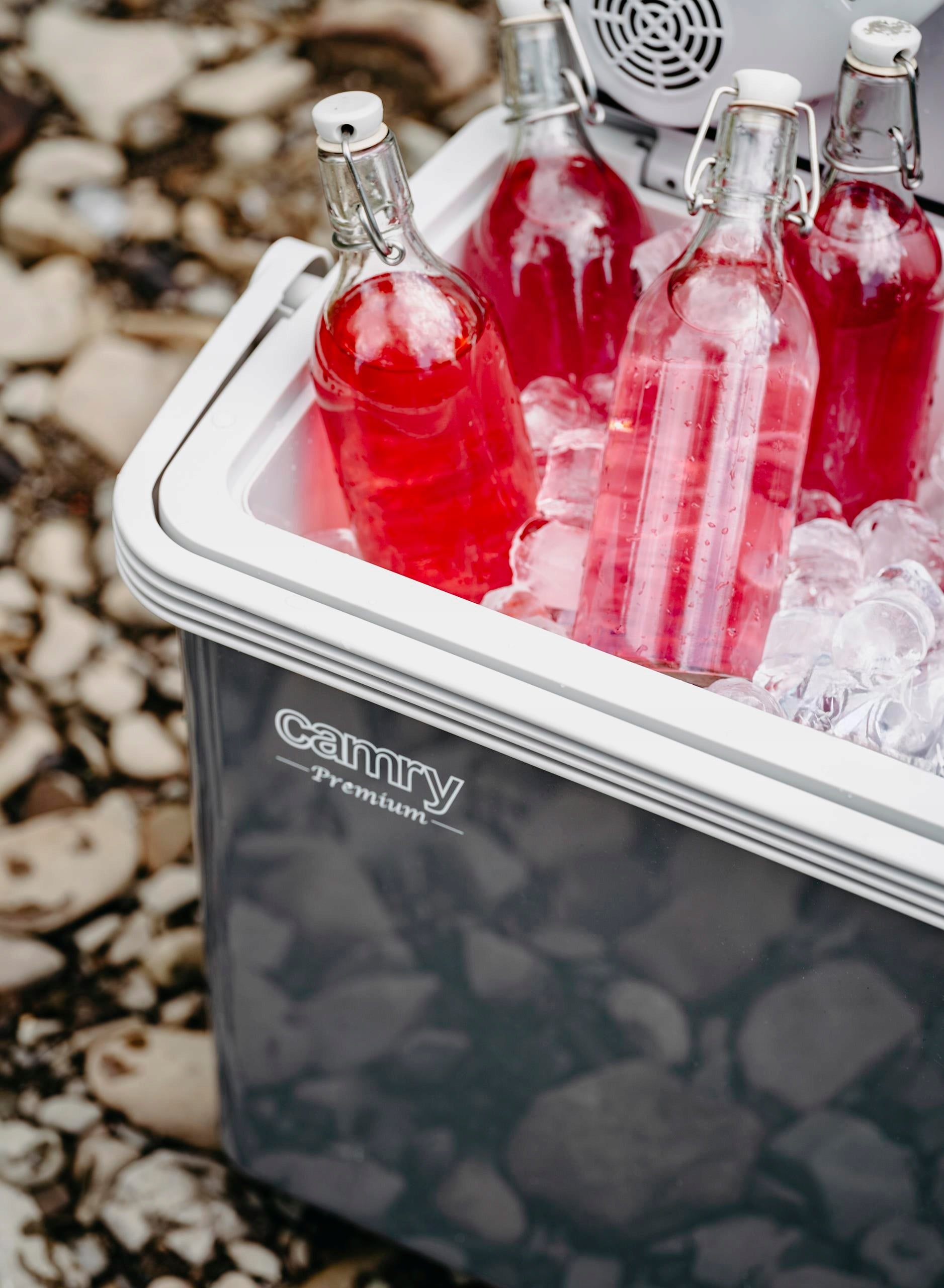 Elektrinis turistinis 25L šaldytuvas su vėsinimu ir šildymu 12V 230V