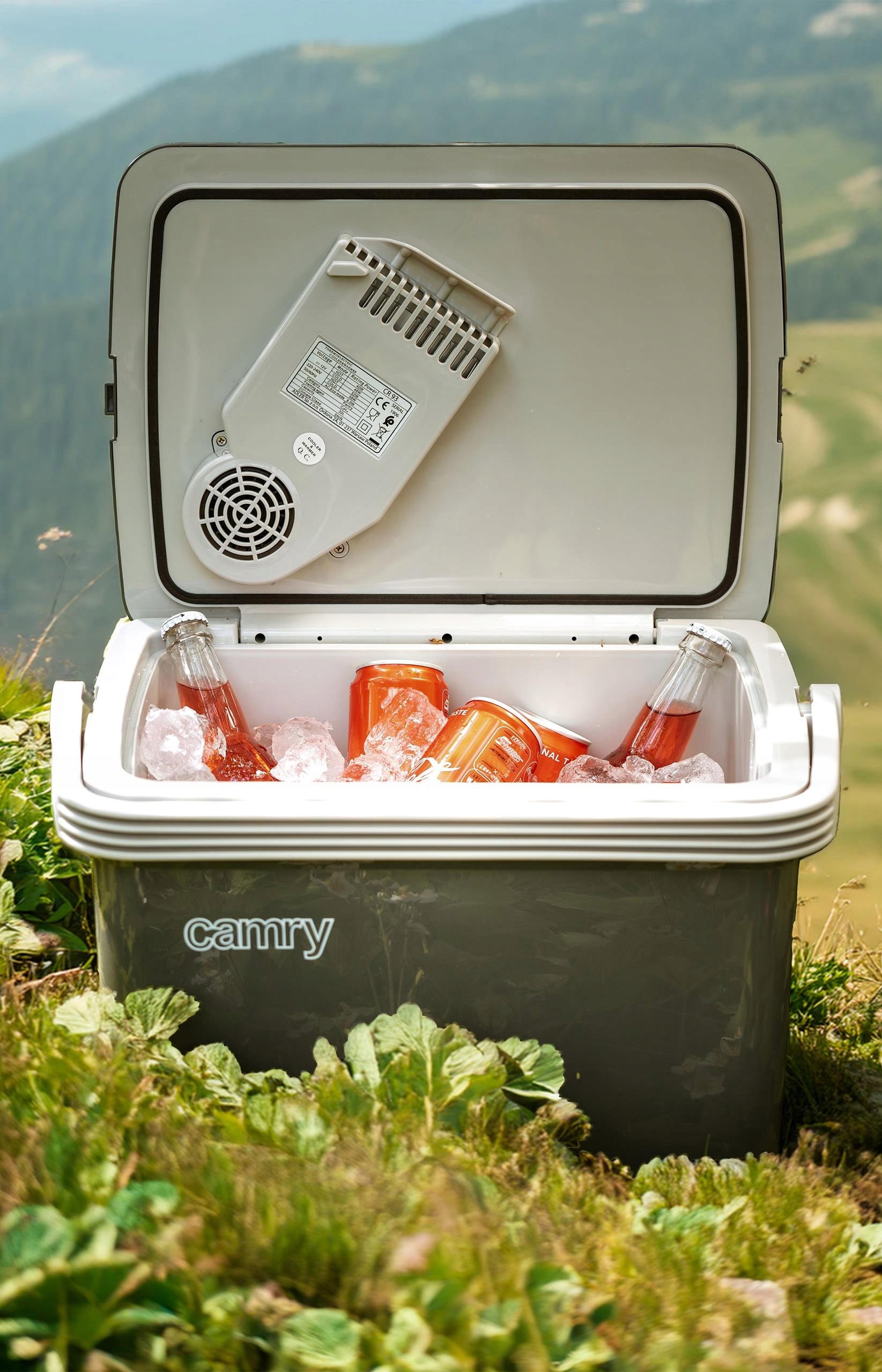 Elektrinis turistinis 25L šaldytuvas su vėsinimu ir šildymu 12V 230V