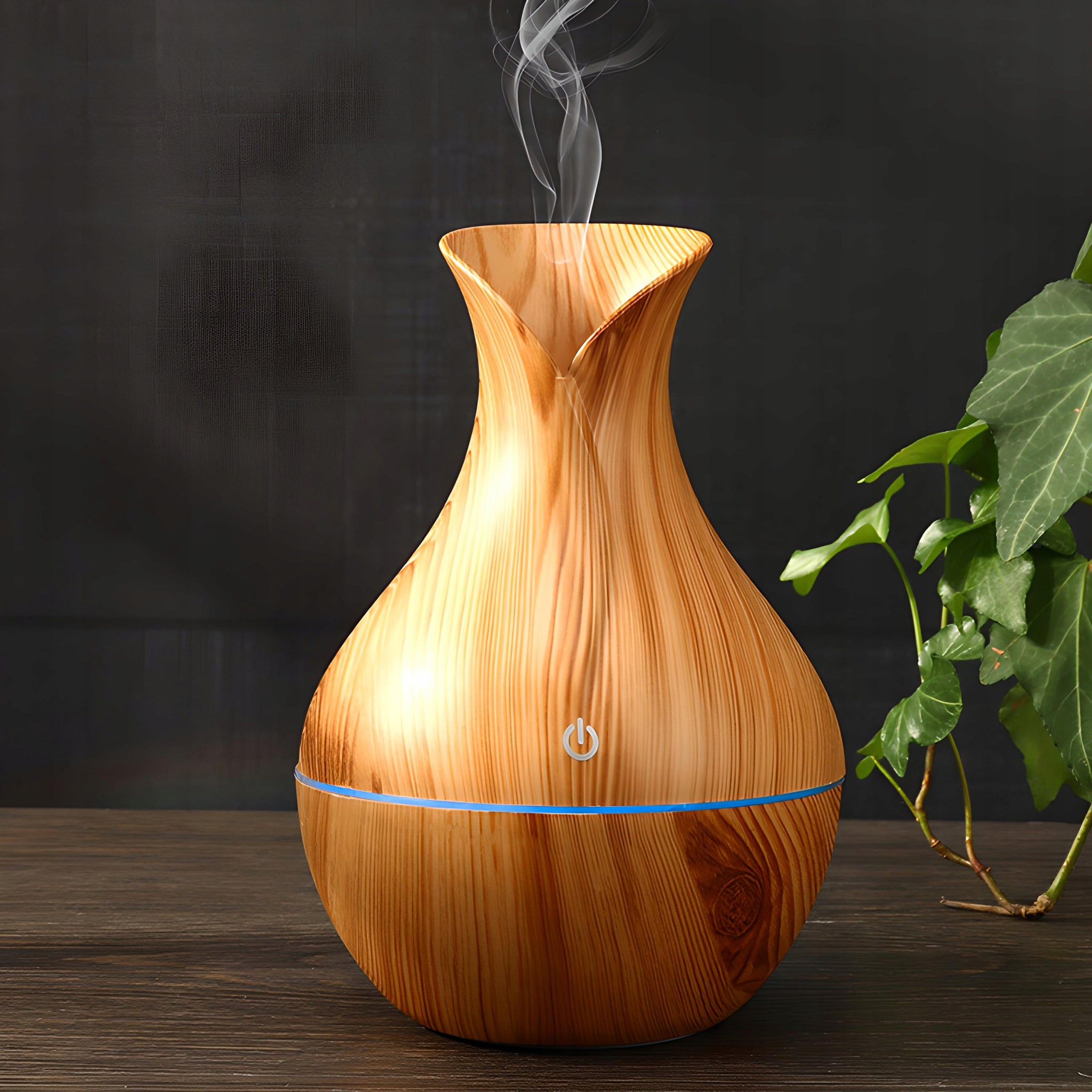 OROdrėkintuvu-kvapo difuzorius-aromaterapija-LED vaza + filtras