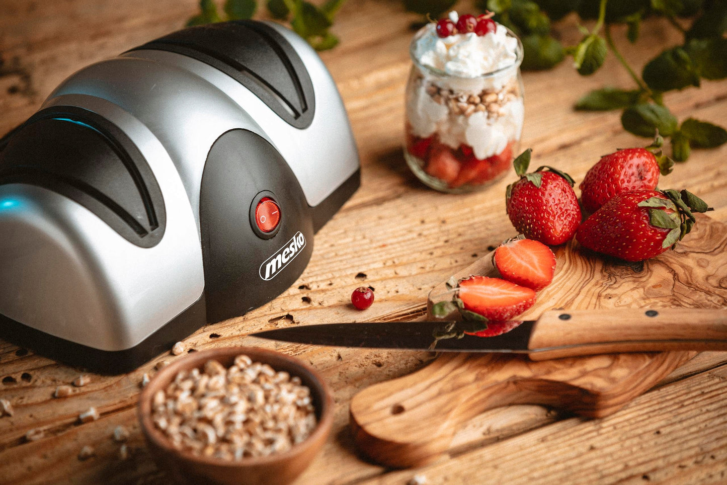 Elektrinis peilių galąstuvas namams ir sodui, dvipakopis, 40W, su siurbtukais