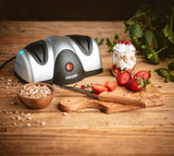 Elektrinis peilių galąstuvas namams ir sodui, dvipakopis, 40W, su siurbtukais