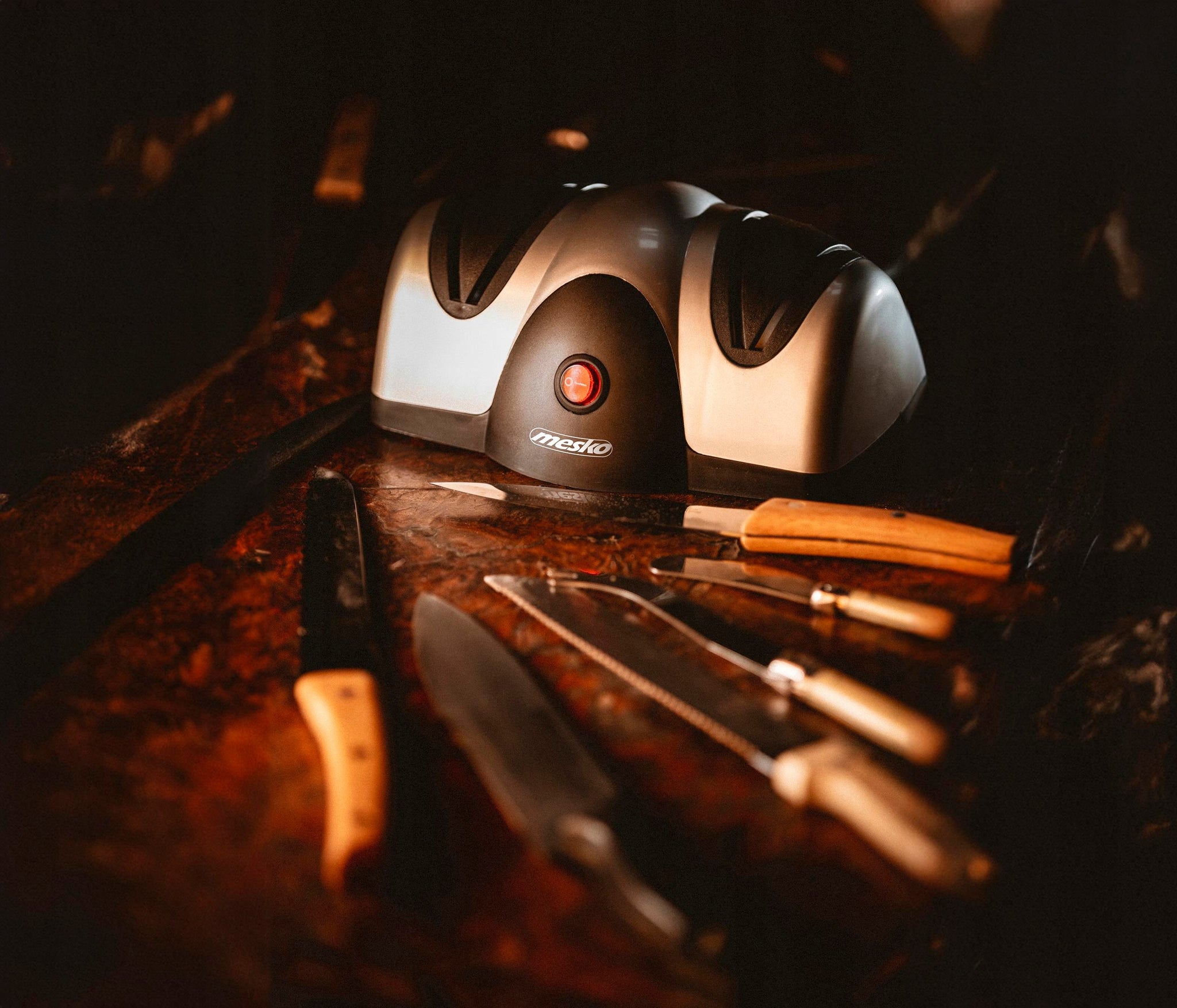 Elektrinis peilių galąstuvas namams ir sodui, dvipakopis, 40W, su siurbtukais