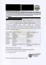 PALO SANTO SMILKAUKALIS MEDIENA-šventa mediena 100g