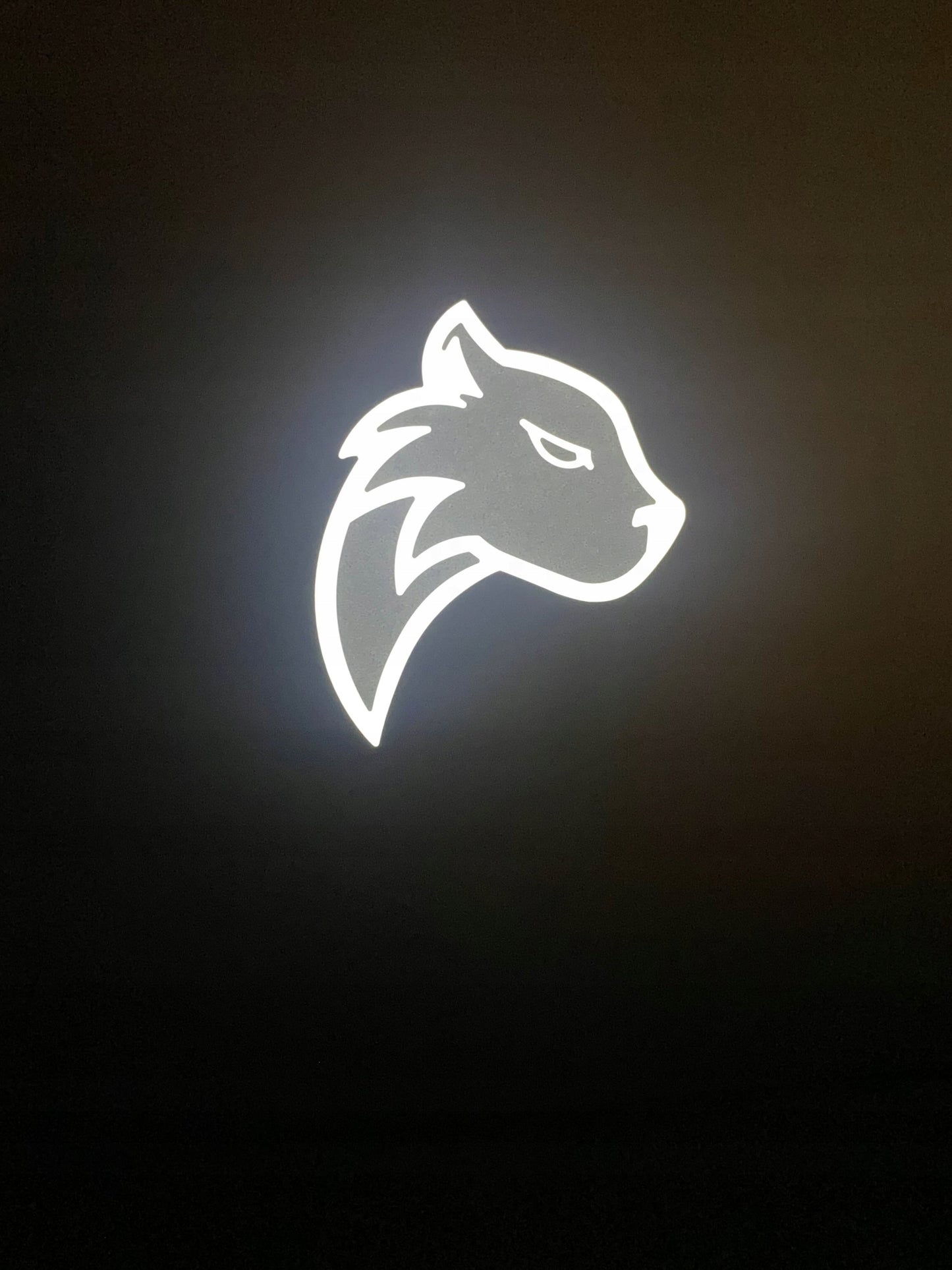 PANTHERISE UKRAINIEČIŲ KALbos klaviatūra 15.6" FHD INTEL 4x2,9GHz 16/512GB W11 Pro