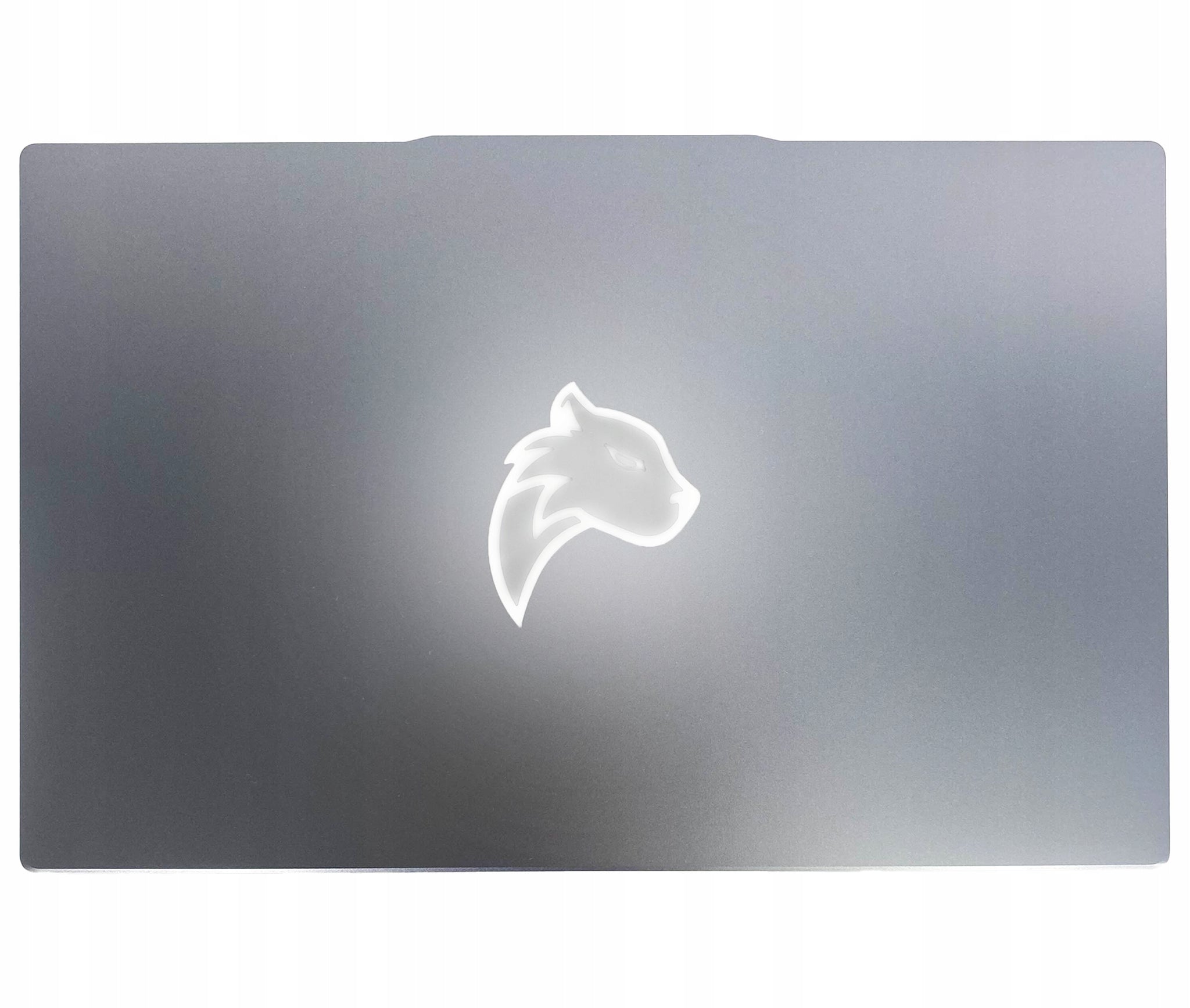 PANTHERISE UKRAINIEČIŲ KALbos klaviatūra 15.6" FHD INTEL 4x2,9GHz 16/512GB W11 Pro