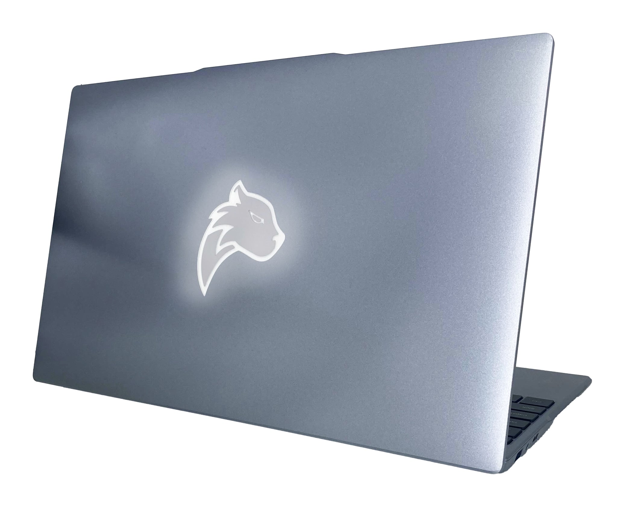 PANTHERISE UKRAINIEČIŲ KALbos klaviatūra 15.6" FHD INTEL 4x2,9GHz 16/512GB W11 Pro