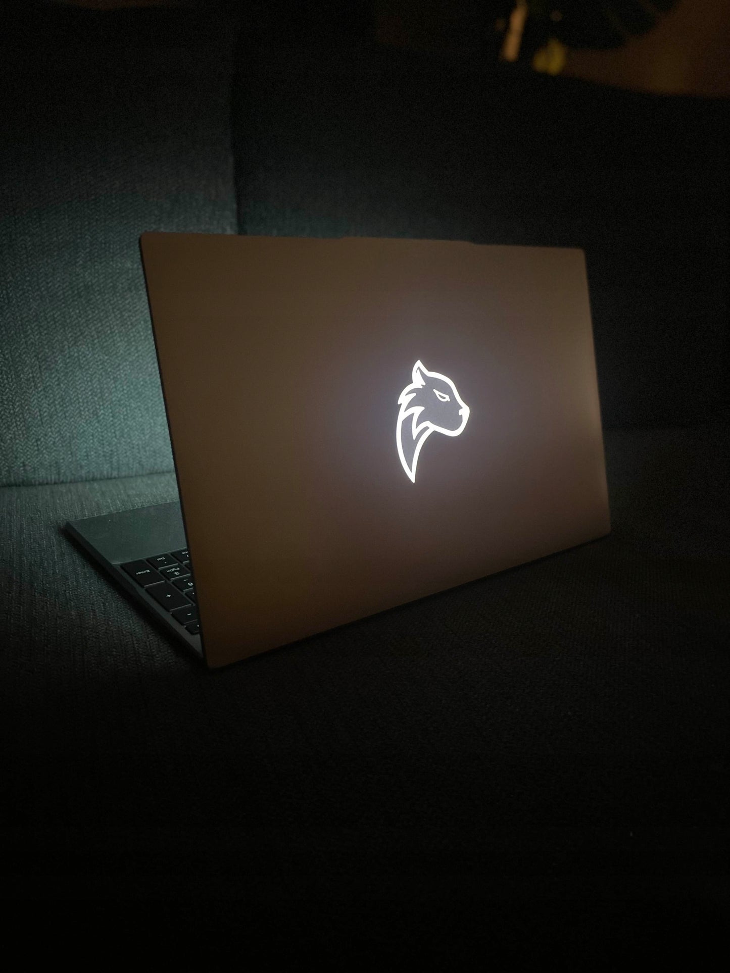 PANTHERISE UKRAINIEČIŲ KALbos klaviatūra 15.6" FHD INTEL 4x2,9GHz 16/512GB W11 Pro