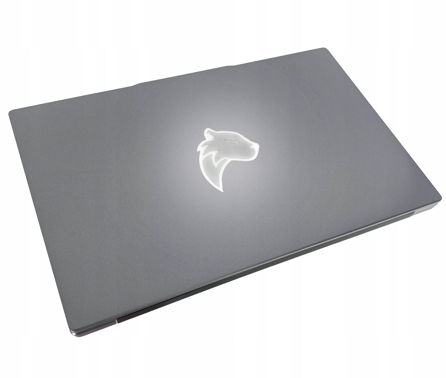PANTHERISE UKRAINIEČIŲ KALbos klaviatūra 15.6" FHD INTEL 4x2,9GHz 16/512GB W11 Pro