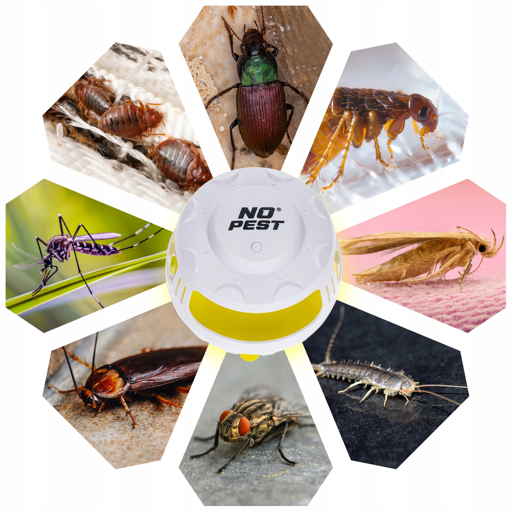 KLIJAMS Vienne Klijuota LAMPA VEIKSMUI JIESTA, BLUSŲ, KODUOTUVŲ TARA, SKRUBUOLĖLIŲ, DRABUŽIŲ KOVEIKIAI