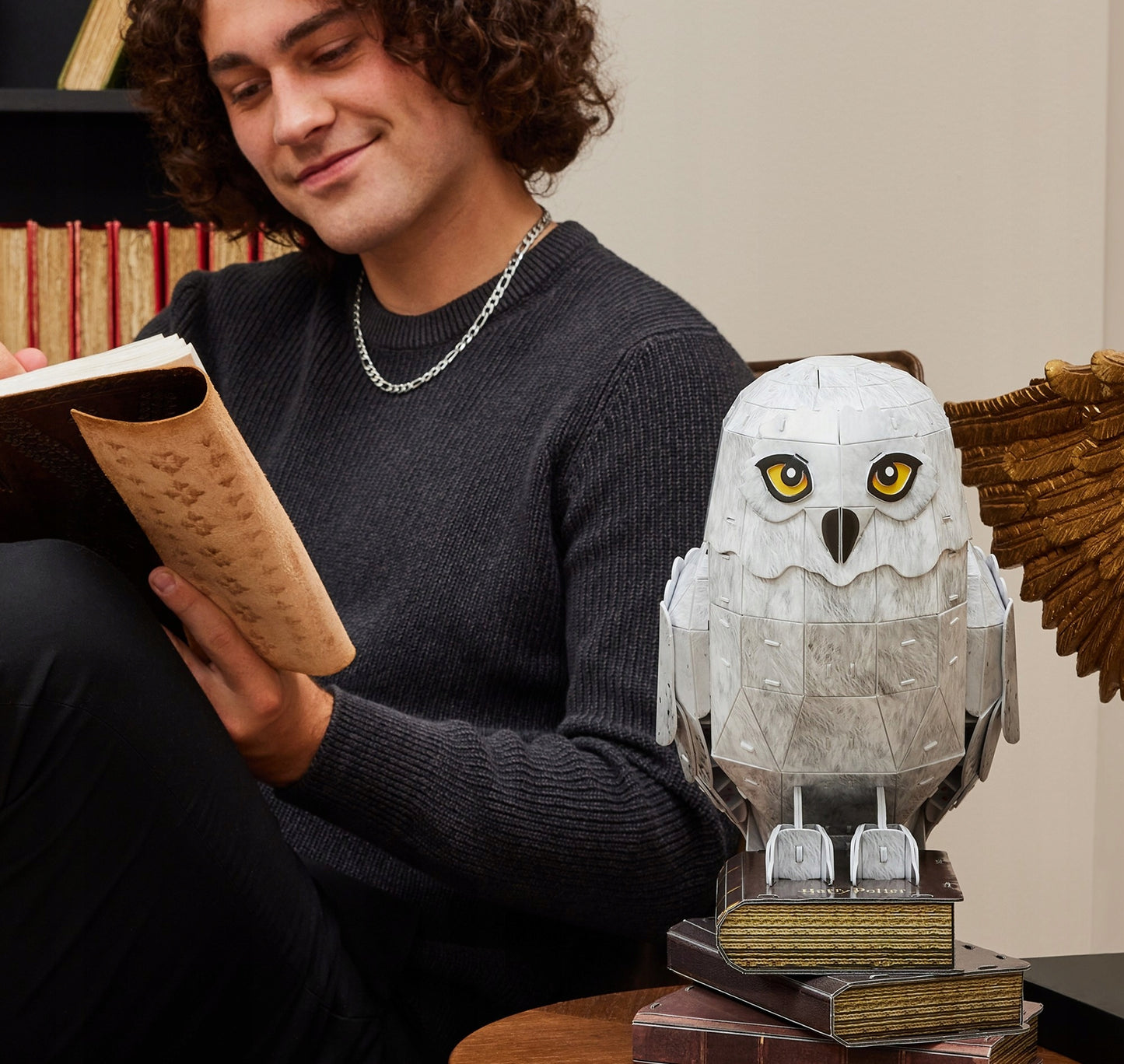 HARI POTERIO 3D GALVOS STARINIS MODELIS, 4D DĖLIONĖ FIGŪRĖLĖ