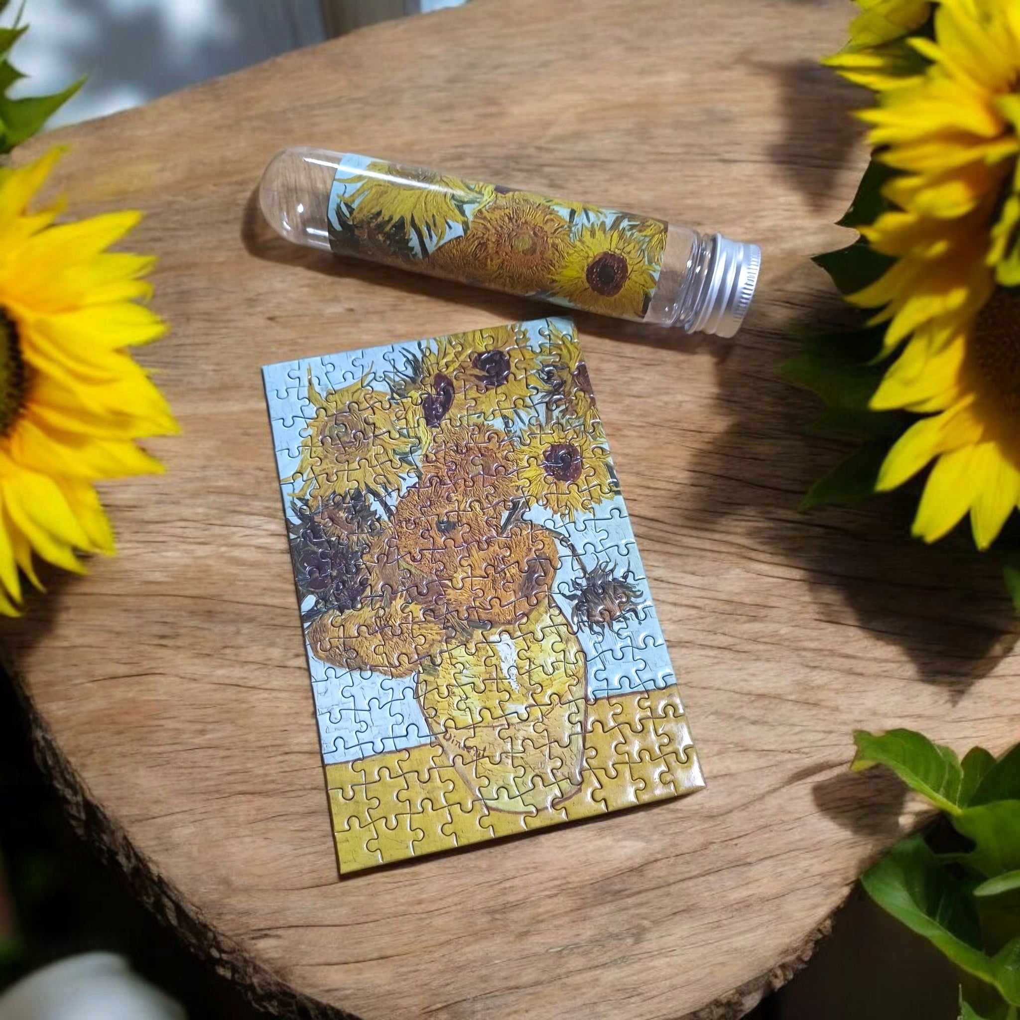 Dovana merginai, vaikinui, galvosūkiai, saulėgrąžos, IQ dėlionė LOGIC SET