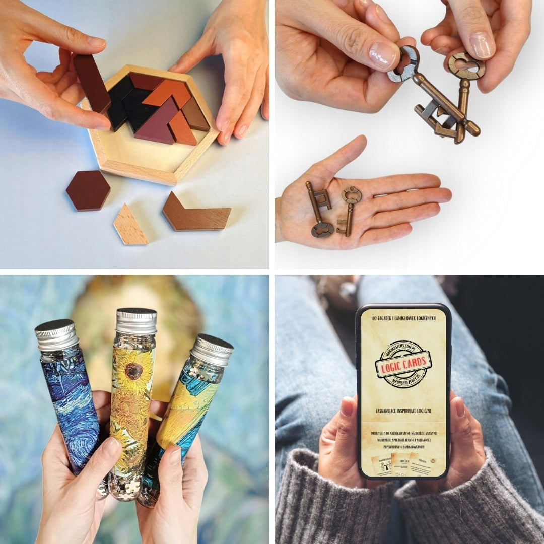 Dovana merginai, vaikinui, galvosūkiai, saulėgrąžos, IQ dėlionė LOGIC SET