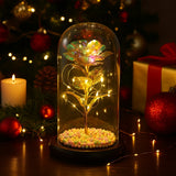 AMŽINA ROŽĖ LED STIKLE + DĖŽUTĖ + BATERIJOS, DOVANA MERGAITEI KALĖDOS