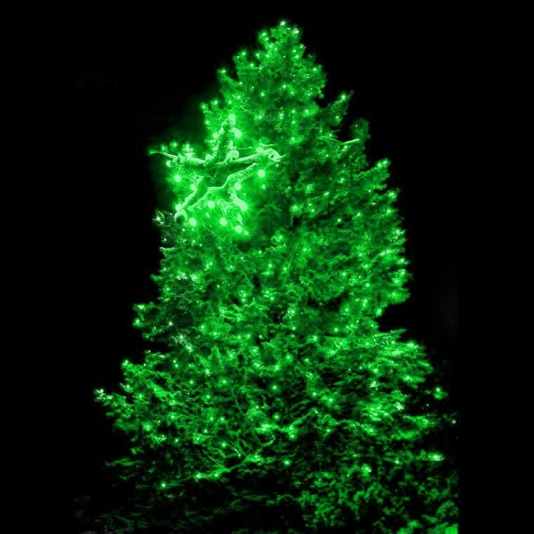 Tinklinės LED kalėdinės lemputės, 100 LED, vidinės