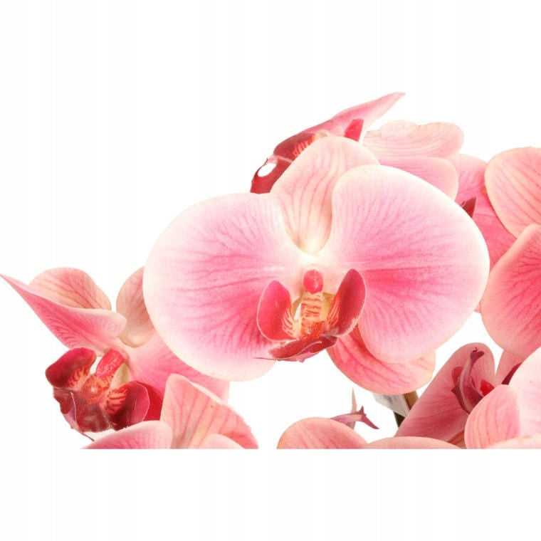 Didelė 80 cm dirbtinė orchidėja PREMIUM, dirbtinės gėlės kaip gyvos Goliat