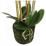 Didelė 80 cm dirbtinė orchidėja PREMIUM, dirbtinės gėlės kaip gyvos Goliat