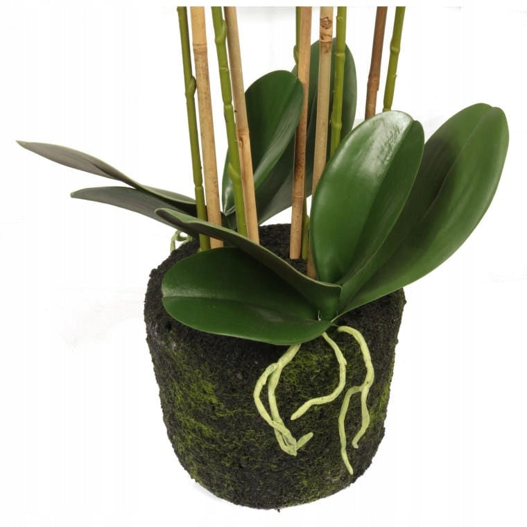 Didelė 80 cm dirbtinė orchidėja PREMIUM, dirbtinės gėlės kaip gyvos Goliat