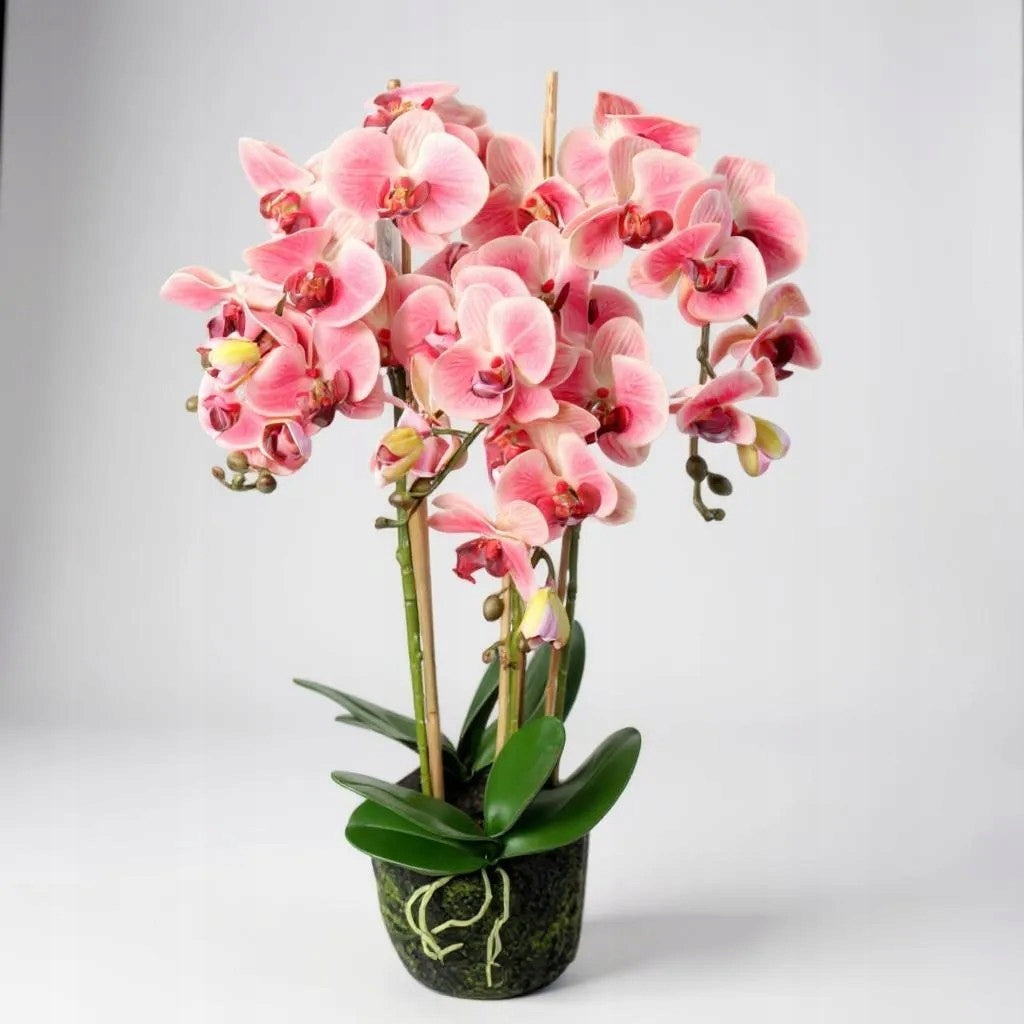 Didelė 80 cm dirbtinė orchidėja PREMIUM, dirbtinės gėlės kaip gyvos Goliat