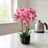 Didelė 80 cm dirbtinė orchidėja PREMIUM, dirbtinės gėlės kaip gyvos Goliat