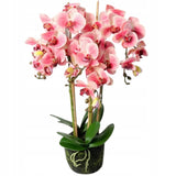 Didelė 80 cm dirbtinė orchidėja PREMIUM, dirbtinės gėlės kaip gyvos Goliat